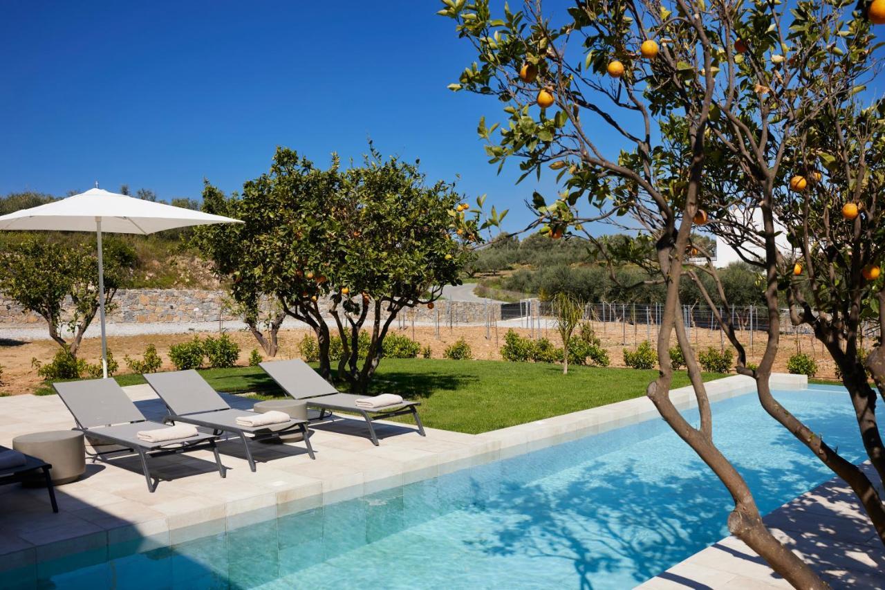 Citrus Grove Luxury Villas Skaleta Dış mekan fotoğraf