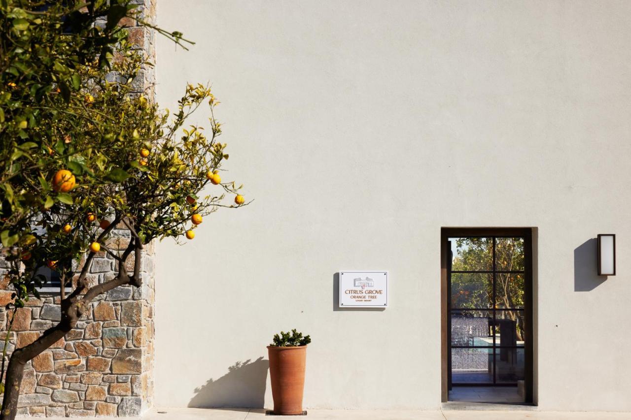 Citrus Grove Luxury Villas Skaleta Dış mekan fotoğraf