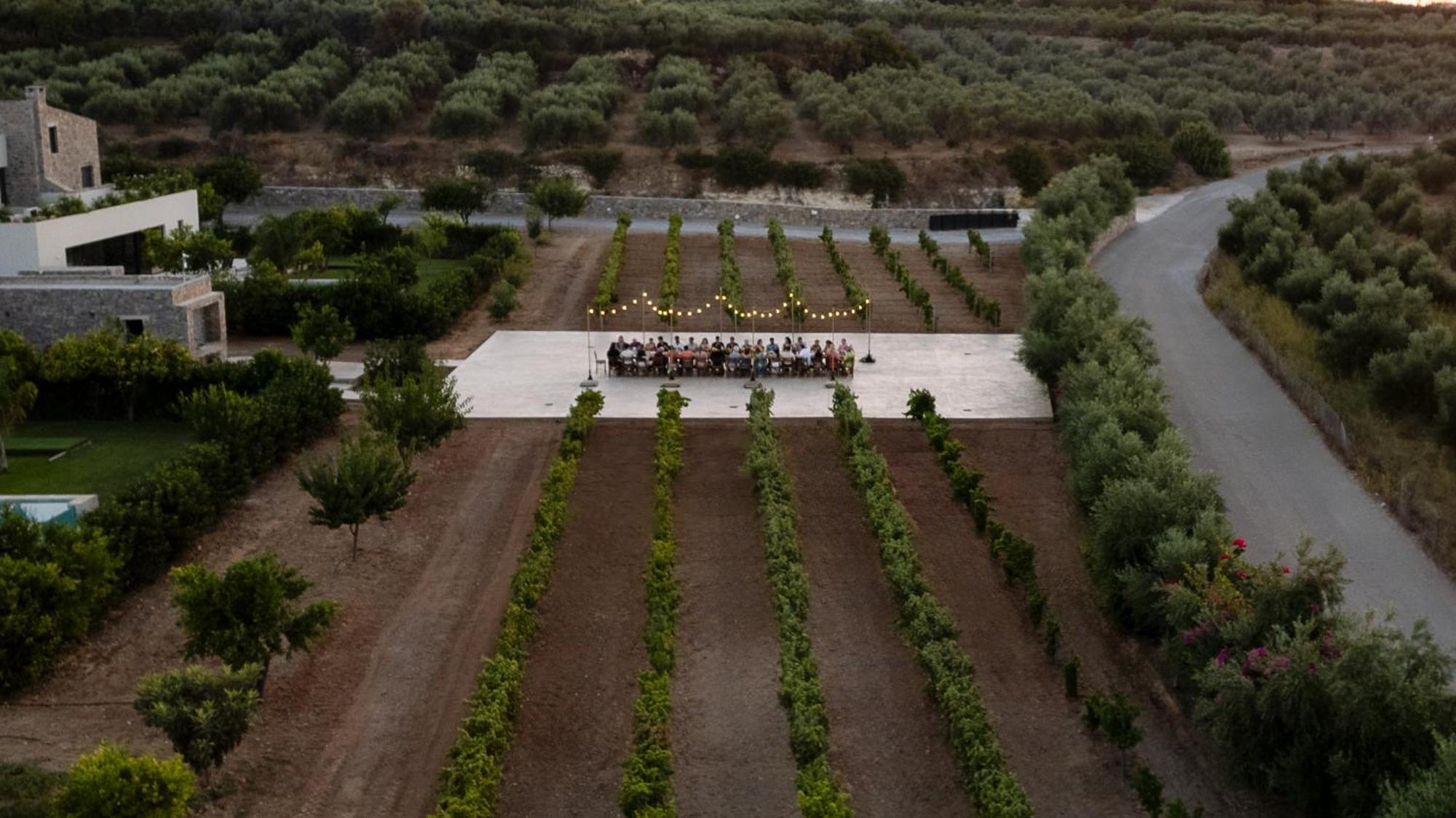 Citrus Grove Luxury Villas Skaleta Dış mekan fotoğraf